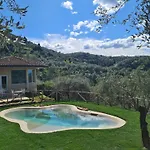 Olivemare