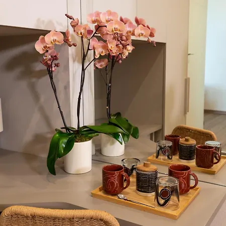 Olivemare Bed & Breakfast Pietrasanta
