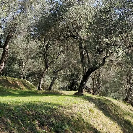 Bed & Breakfast Olivemare