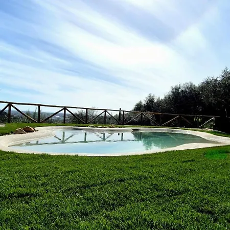 Olivemare