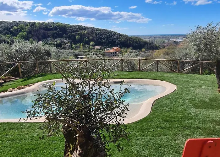 Olivemare